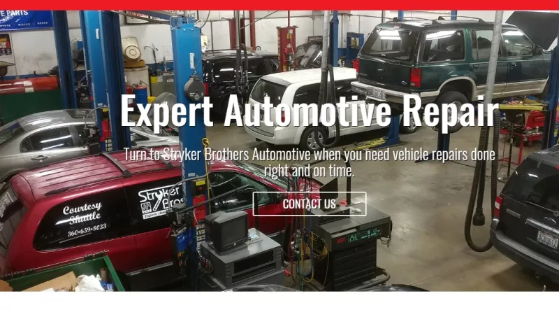 Having Your Vehicle Fixed by Professionals